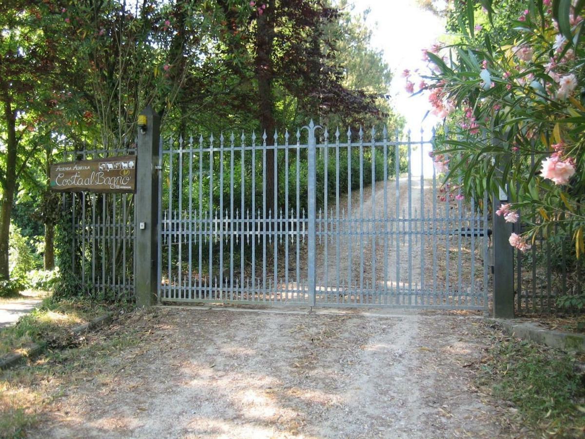 Villa In Campagna Costa Al Bagno Montopoli in Val d'Arno Exterior photo