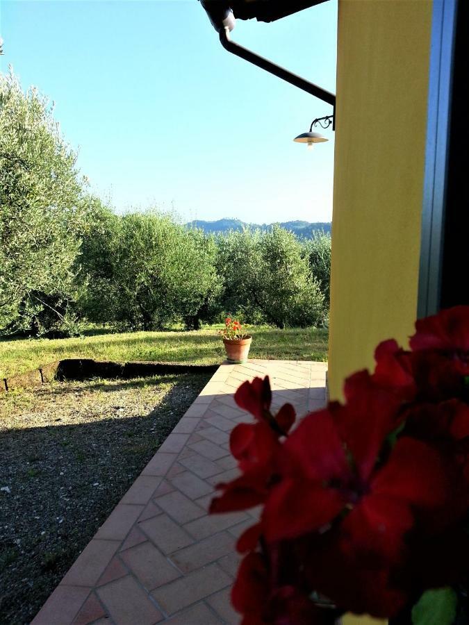 Villa In Campagna Costa Al Bagno Montopoli in Val d'Arno Exterior photo